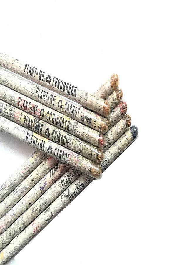 GoodWill Tech NS Plantable Pencil Recycled Plantable Eco Friendly Newspaper Pencils (Pack of 60) - Image 1